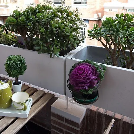 Capone Al Vaticano Appartamento